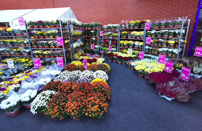 https://bielany.leclerc.pl/