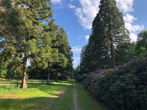 Arnoldspark Tweede slagboom rechts in de Prins Hendriklaan, Esbeek