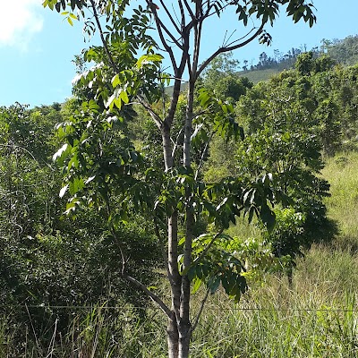 Photos of Camping Pinus Tahura Sultan Adam