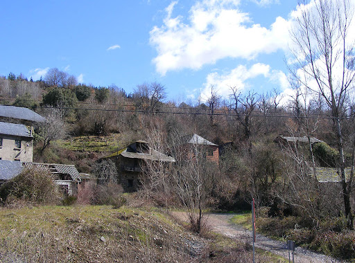 Cerezal De Tremor