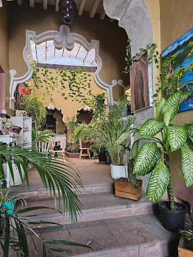 El jardín de Azu - Thumbnail