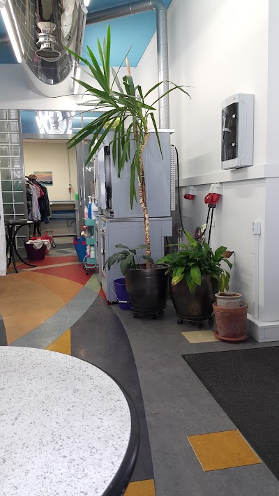 Photos of Wave Washing LLC