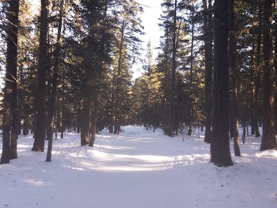 Photos of Dugui Tsagaan