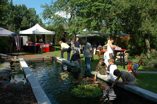 Koitec André Ahrens Japan Koi - ponds - Technology - Thumbnail