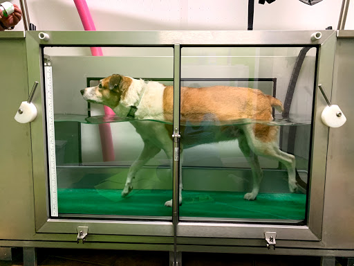 TierPhysioTherapie - Kerpen, B.Harren & S.Bernhardt