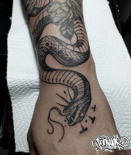 Ink Borrable - Visual