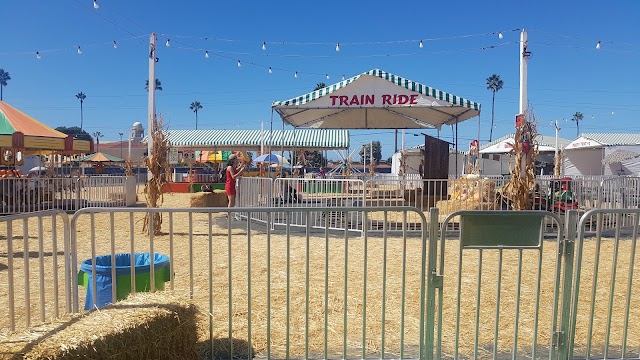 Del Mar Pumpkin Station Pumpkin Patch