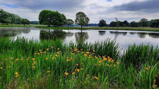 Tatton Park Bird Hide