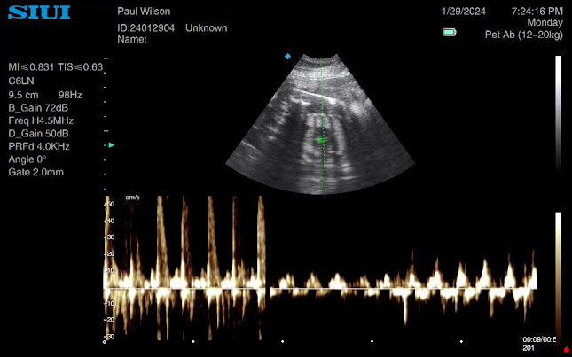 Reviews of Animal Ultrasound by Paul Wilson in Doncaster - Dog trainer