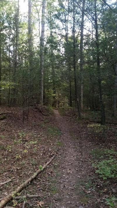 Chimney Hollow Trailhead