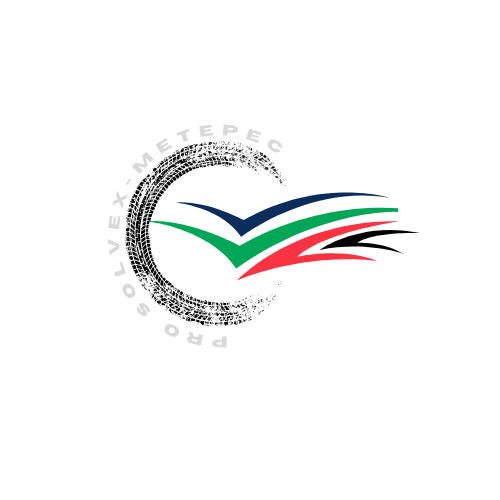 Pro Solvex Metepec Logo