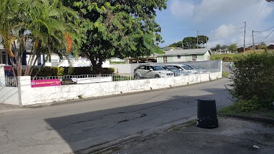 Photos of Coconut Car Rentals and Tours