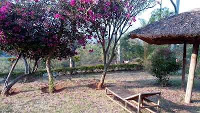 Photos of Domino Lodge