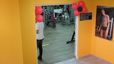 Life Fitness Albania - Palester