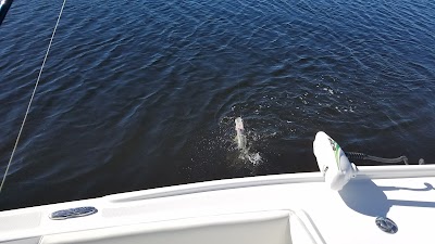 Photos of Steady Action Fishing Charters INC.