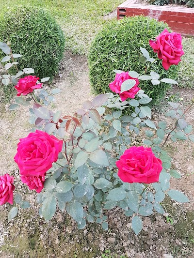 Photos of Bogra Golf Club