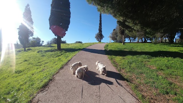 José Gomes Ferreira park