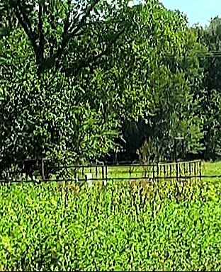 Neathery Cemetery - Thumbnail