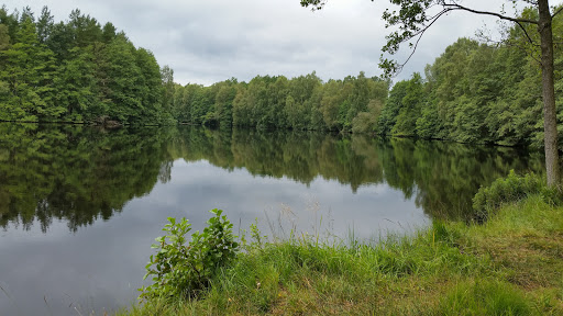 Göinge Hembygdsförening - Thumbnail