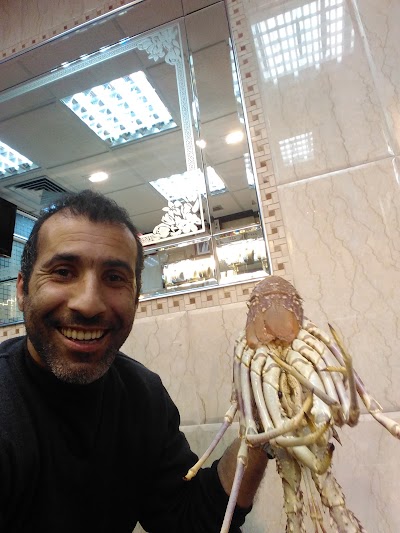 Photos of مركز الصناعة التقليدية والابداع الفني التابع لمؤسسة مولاي سليمان