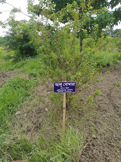 Photos of Horticulture Center, Ratoil, Kasiani, Gopalgonj.