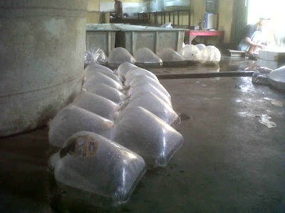 Photos of MG Fish Sukabumi