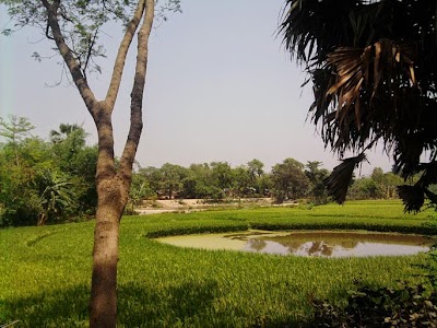 Photos of Shyamkur