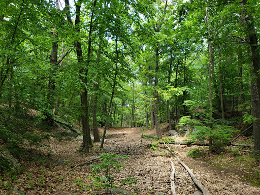 Hammond Pond Trail - Parking - Thumbnail