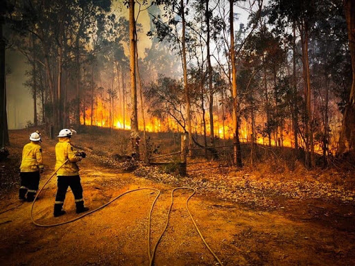 Tinonee Rural Fire Brigade Gallery - Australia