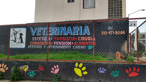 Veterinaria Valle De Las Mascotas - Thumbnail