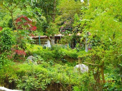 Photos of La Cascada
