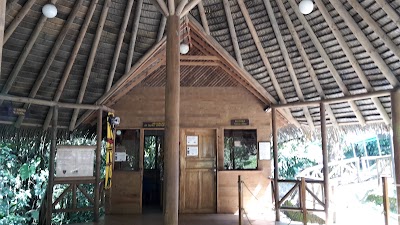 Photos of Guayabo National Monument