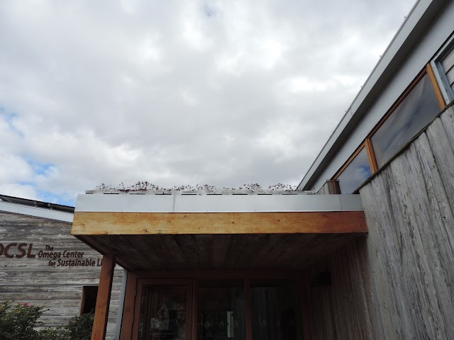 Omega Institute for Holistic Studies