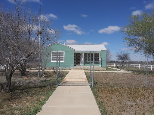 Odessa Bush House - Thumbnail