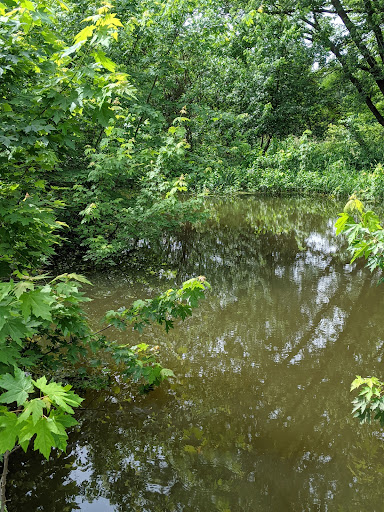 Pechman Creek Delta - Thumbnail