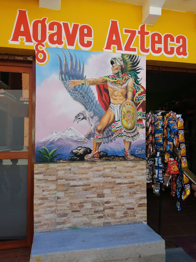Agave Azteca - Visual