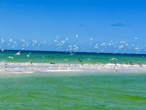 Saltwater Magic Boat Tours Gallery - United States