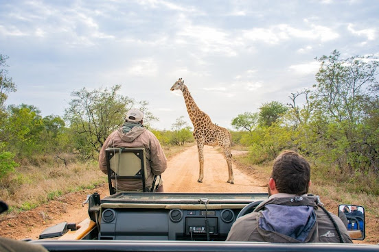 Thornybush Game Lodge by null
