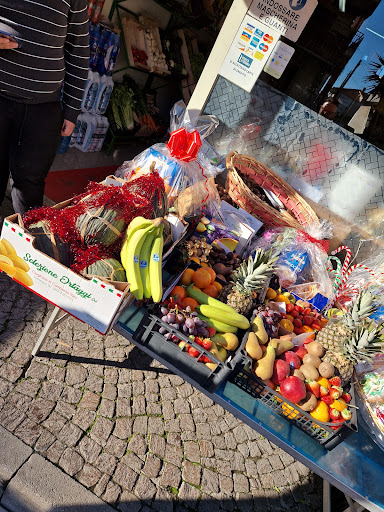 Dragon Fruit - Visual