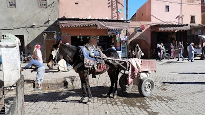 Photos of Marrakech Tour