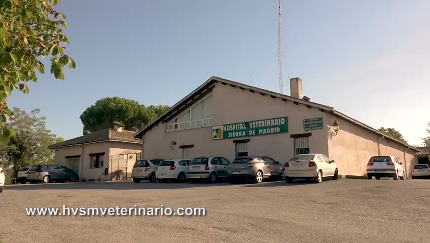 Hospital Veterinario Sierra de Madrid