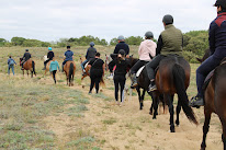 Handi Cheval Mayenne à Laval