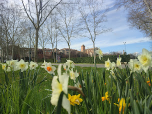 Photo n°19 de Mairie de Verdun-sur-Garonne à Verdun-sur-Garonne (Hôtel de ville)