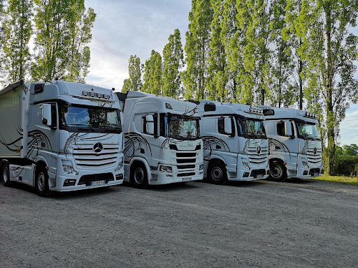 TRANS PLC - Visual