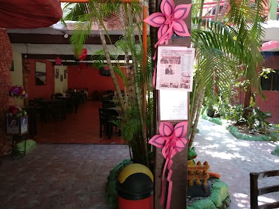 Photos of Restaurante Mijaro 2