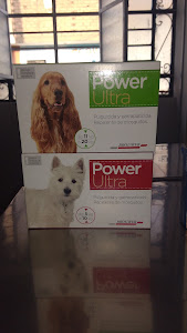 LescanoVets Veterianaria 3