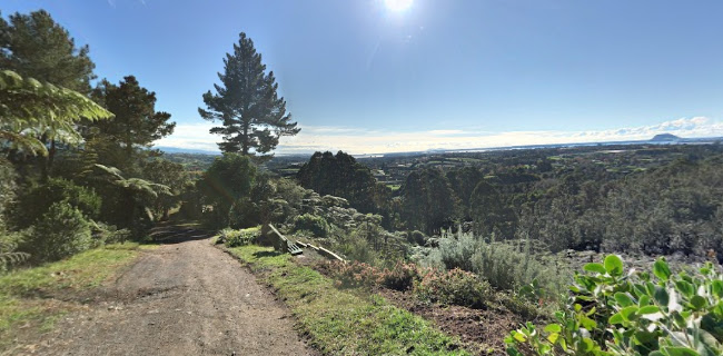 Te Puna Quarry Park & venue 'The Gallery' Phone number