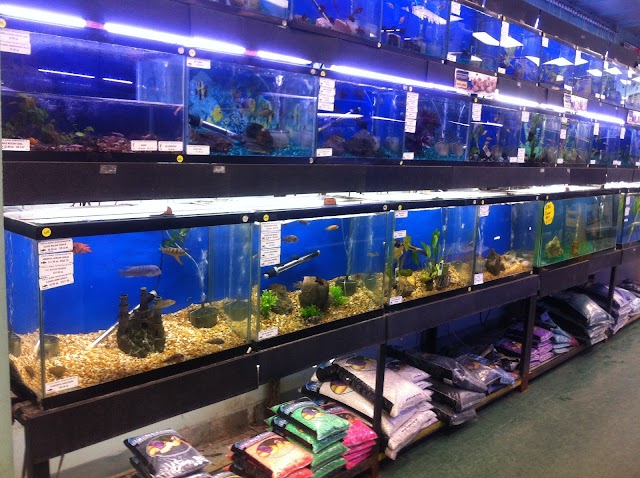 Petland Discounts - 125th Street