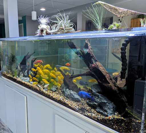 ABC Aquarium Gallery - United States