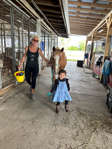 Saddlewood Horse Club - Thumbnail